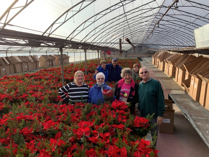Over $ 25,000 Raised with the Poinsettias Campaign